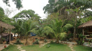 Bahçenin ve ağaçların Gana 'daki tropikal bir sörf kampında sahile bakan görüntüsü..