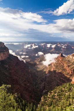 Grand Canyon Ulusal Parkı, Arizona, ABD. 