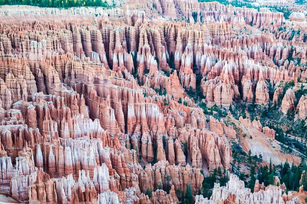 Bryce Canyon National Park, Utah, USA — Stock Photo, Image