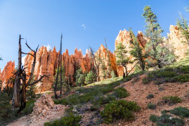 Görünüm melekler iniş, Utah, ABD üstünden Zion National Park