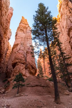 Görünüm melekler iniş, Utah, ABD üstünden Zion National Park