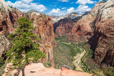 Görünüm Angel s iniş, Utah, ABD üstünden Zion National Park
