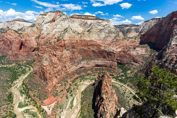 View of Zion National Park from top of Angel s Landing, Utah, USA — Stock Photo, Image