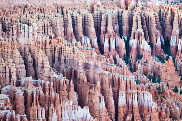 Bryce Canyon National Park, Utah, USA — Stock Photo, Image