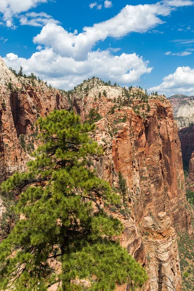 View of Zion National Park from top of Angels Landing, Utah, USA — Stock Photo, Image