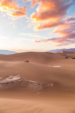 Günbatımında Mesquite düz kum tepeleri Ölüm Vadisi Milli Parkı, Kaliforniya, ABD