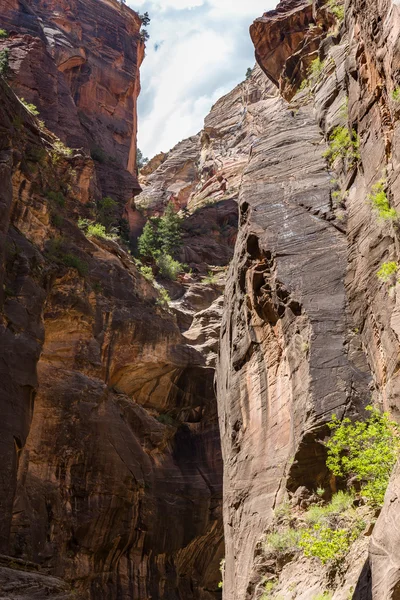 Zwęża się w USA, w stanie Utah, w Park Narodowy Zion — Zdjęcie stockowe