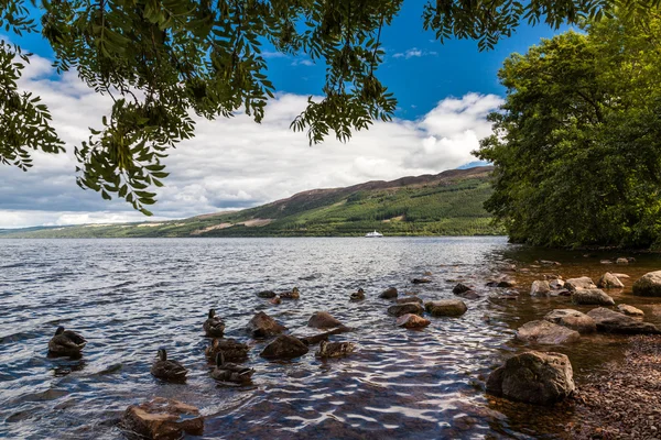 Loch Ness-i, a skót felföldön, Skócia — Stock Fotó