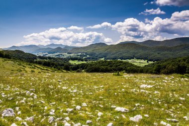 Yaz dağı manzarası