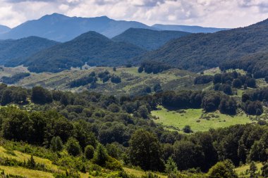 Yaz dağı manzarası