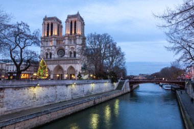 Notre dame de paris alacakaranlıkta, Fransa.