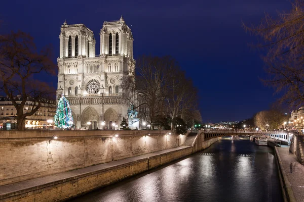 Notre Dame de Paris 's nachts. — Stockfoto