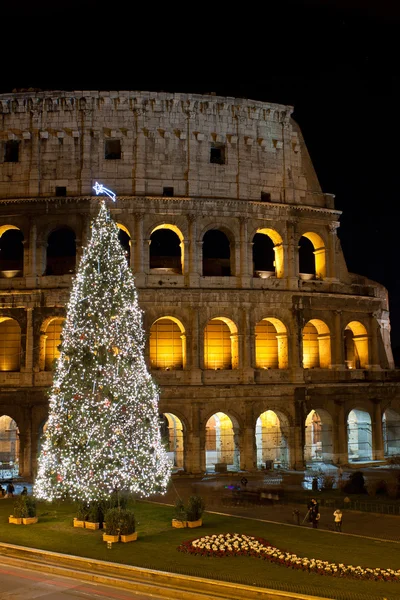 Colisée et arbre de Noël à Rome, Italie — Photo