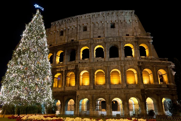 Colisée et arbre de Noël à Rome, Italie — Photo