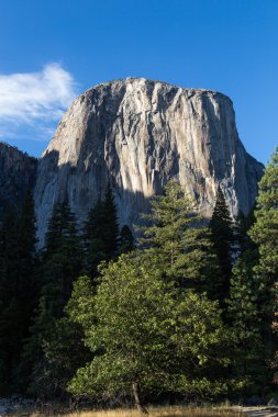 El Capitan Dağı, Yosemite Milli Parkı, Amerika Birleşik Devletleri.