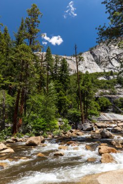 Görünümü, Yosemite Milli Parkı sis iz ve John Muir iz, Kaliforniya, ABD.