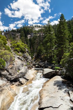 Görünümü, Yosemite Milli Parkı sis iz ve John Muir iz, Kaliforniya, ABD.