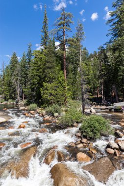 Görünümü, Yosemite Milli Parkı sis iz ve John Muir iz, Kaliforniya, ABD.