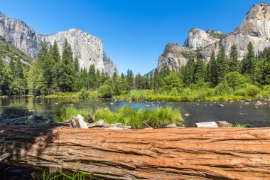 Klasik Görünüm Yosemite Vadisi Yosemite Milli Parkı, Kaliforniya, ABD.