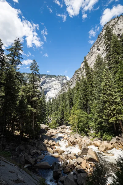 Vista del parque Yosemite desde Merced River Trail, California, EE.UU. — Foto de Stock
