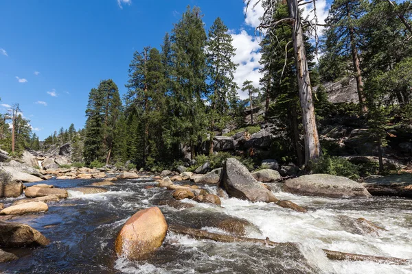 Görünümü, Yosemite Milli Parkı sis iz ve John Muir iz, Kaliforniya, ABD.
