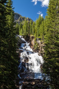 Grand Teton Milli Parkı, Wyoming, ABD Gizli Falls