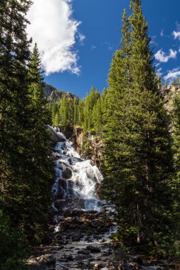 Grand Teton Milli Parkı, Wyoming, ABD Gizli Falls