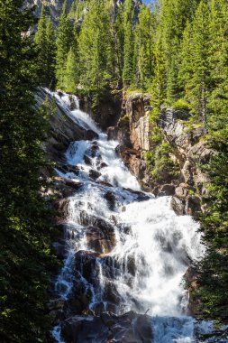 Grand Teton Milli Parkı, Wyoming, ABD Gizli Falls