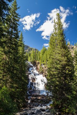 Grand Teton Milli Parkı, Wyoming, ABD Gizli Falls