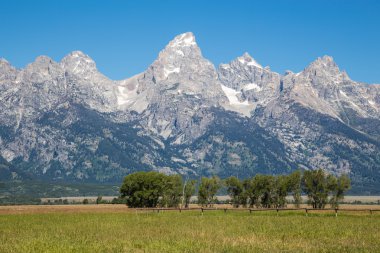 Grand Teton Ulusal Parkı, Wyoming, ABD