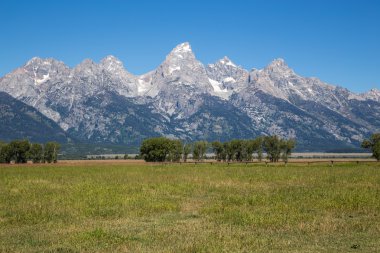 Grand Teton Ulusal Parkı, Wyoming, ABD