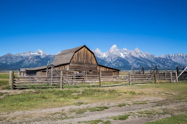 Mormon Row, Grand Teton National Park, Wyoming, Estados Unidos — Foto de Stock