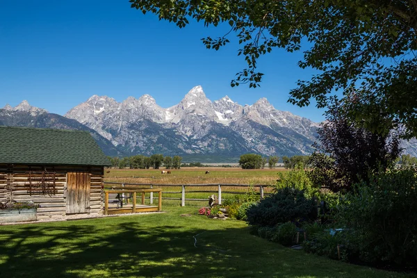 그랜드 teton 국립 공원, 와이오밍, 미국 — 스톡 사진