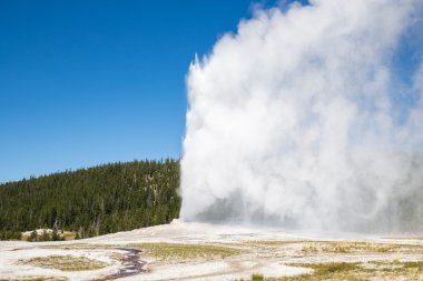 Old Faithful geyser eruption into Yellowstone National Park, USA clipart
