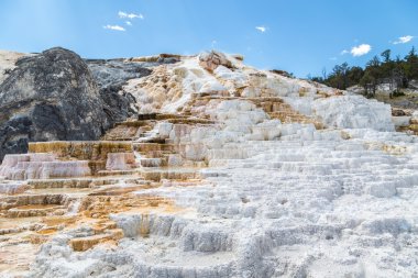 Yellowstone Milli Parkı, Wyoming, ABD mamut sıcak Spings