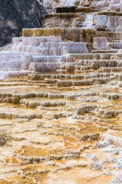 Yellowstone Milli Parkı, Wyoming, ABD mamut sıcak Spings
