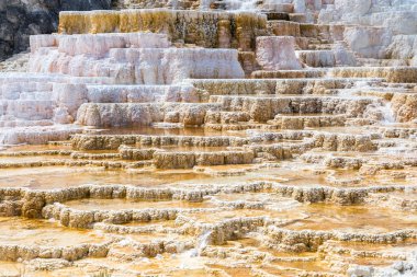 Yellowstone Milli Parkı, Wyoming, ABD mamut sıcak Spings