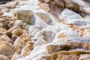 Yellowstone Milli Parkı, Wyoming, ABD mamut sıcak Spings