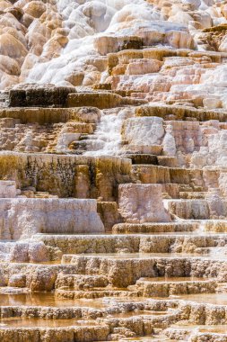 Yellowstone Milli Parkı, Wyoming, ABD mamut sıcak Spings