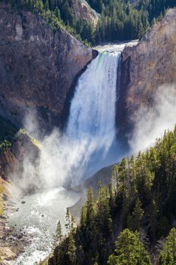 Lower Falls on the Grand Canyon of the Yellowstone, Yellowstone National Park, USA clipart