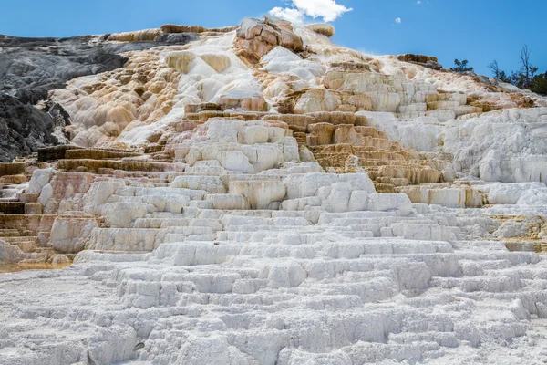 Mammoth Hot Spings nel Parco Nazionale di Yellowstone, Wyoming, Stati Uniti — Foto Stock