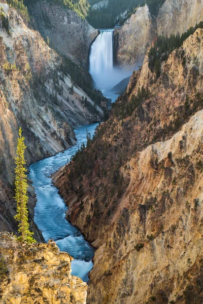 Lagere Falls op de Grand Canyon van de Yellowstone, Yellowstone National Park, Verenigde Staten — Stockfoto