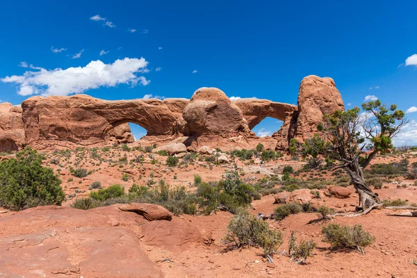 Північ і Південь вікна арки в арках національний парк, штат Юта, США. — стокове фото