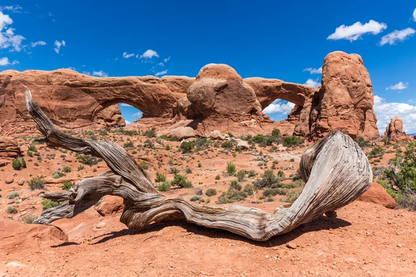 North and South Window Arches in Arches National Park, Utah, USA. — Stock Photo, Image