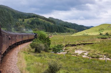 Glenfinnan Viyadüğü, Highland, İskoçya.