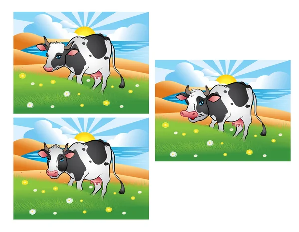 Three different cows on the green meadow — Stock Vector