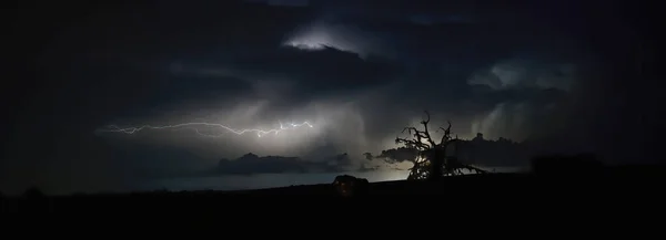 Lightning Strike Old Dead Live Oak Tree Silhouette — Stock Photo, Image