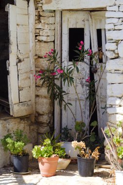 Folegandros Adası Yunanistan. Eski kasabadaki bir köy evinde çiçekler. Dikey çekim, soluk eski bir binaya yakın çekim. Boşluğu kopyala.