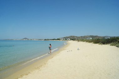 Naxos Adası - Yunanistan - 24 Haziran 2017: Plaka Sahili. Güzel kumlu kumsal. Mavi gökyüzü ve solgun kumlarla manzara. Gökyüzünü temizle ve uzayı kopyala.