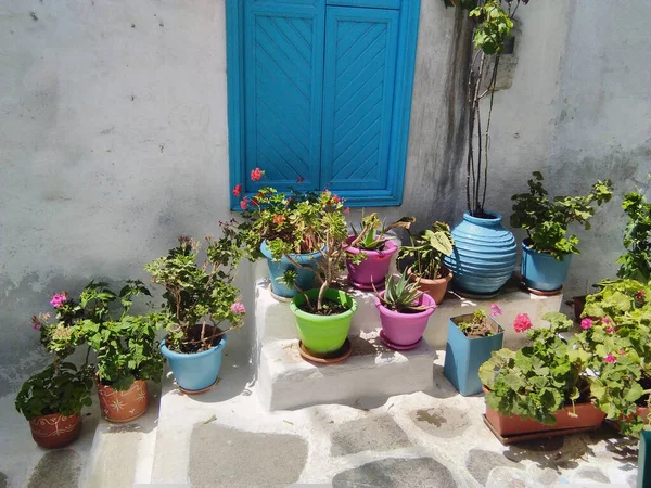 Amorgos Island Greece Colorful Flowers Village House Pretty Scene Typical Stock Photo